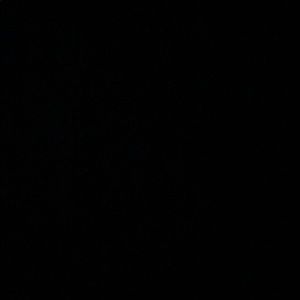 Meet your Posher, Terriona